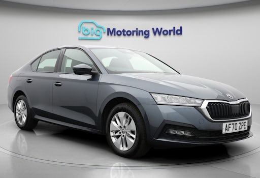 45bcf698-4439-103d-05d3-7899cc5adec1 Octavia