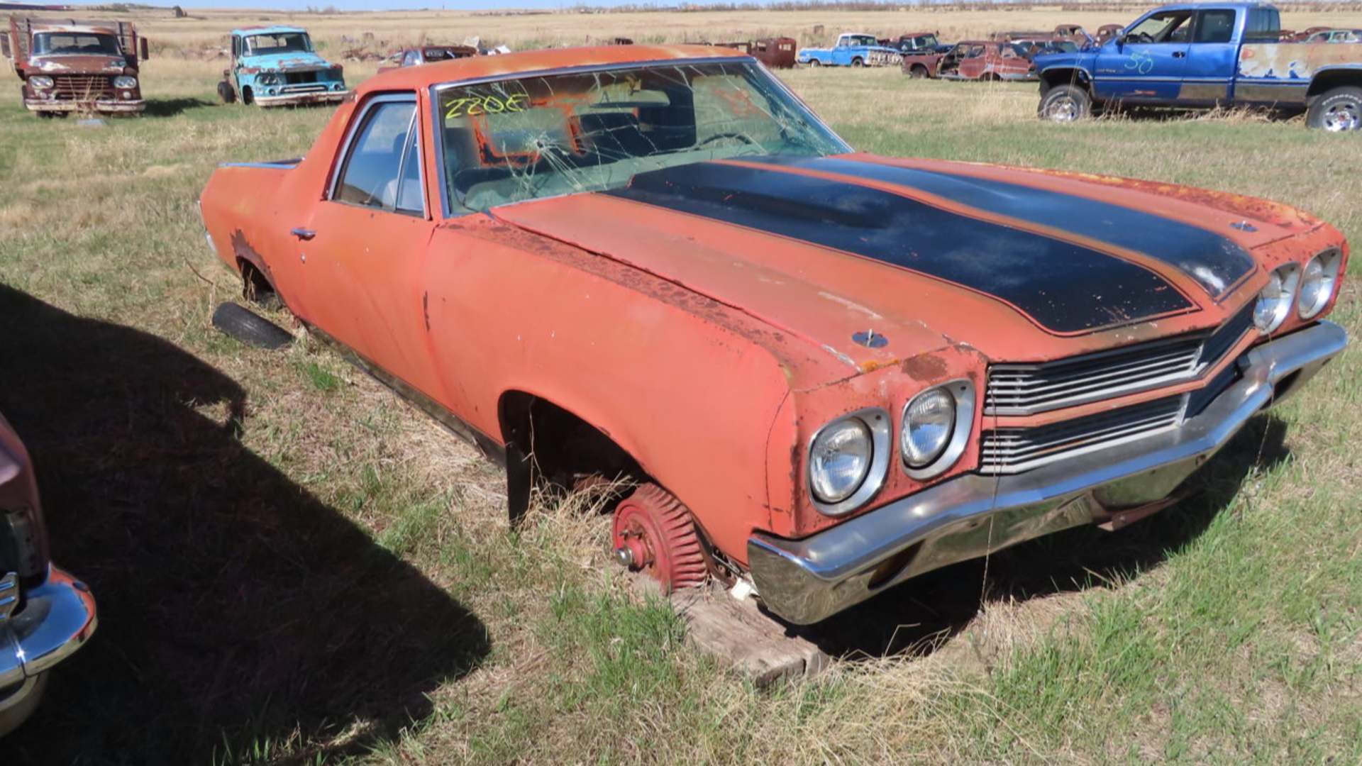 american-car-collection-3