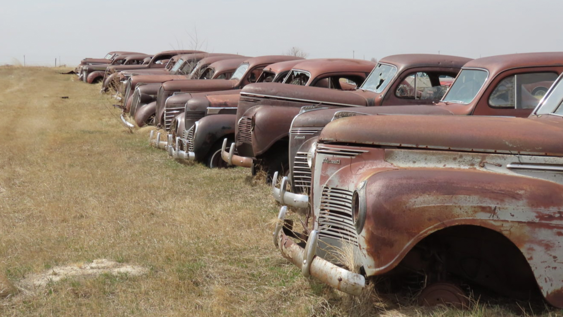 american-car-collection-6-1