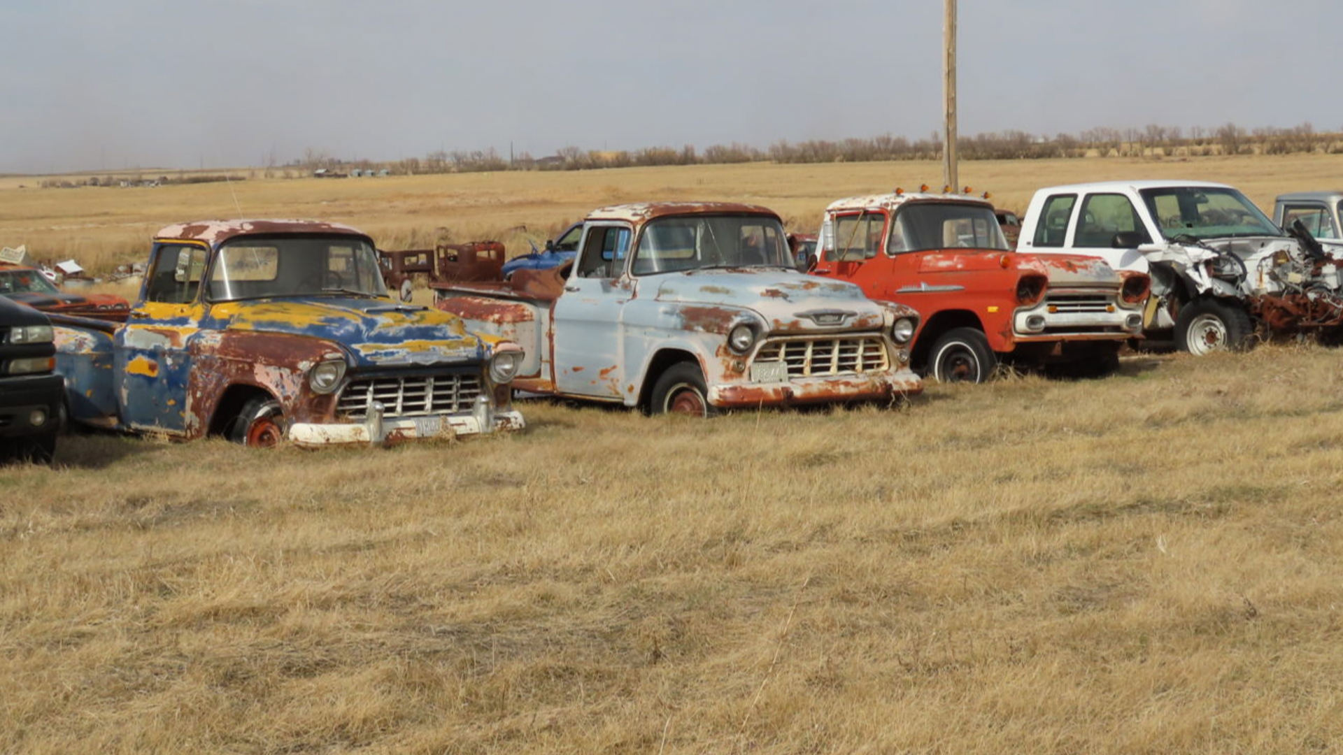 american-car-collection-7