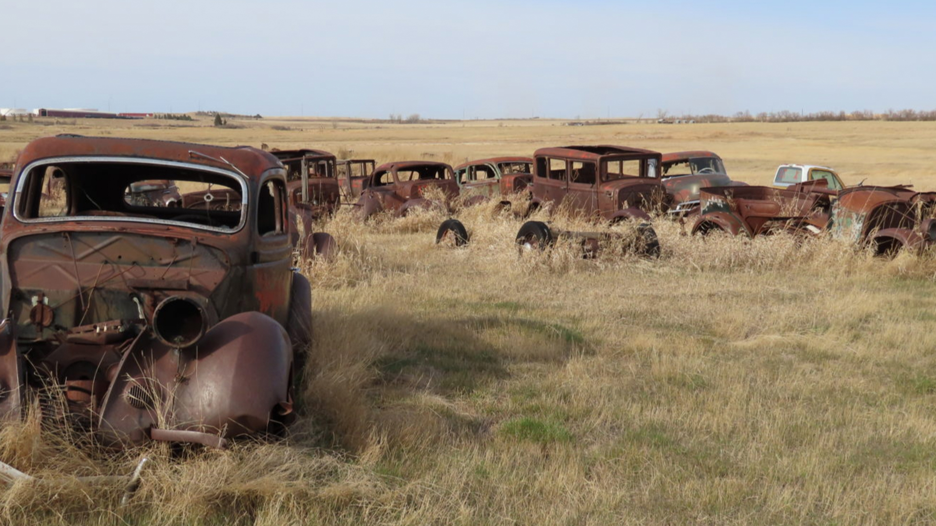 american-car-collection-8