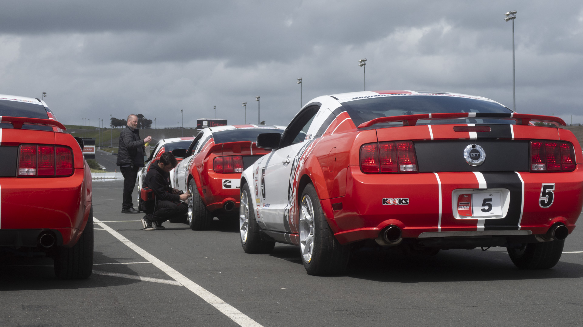 bfg-phenom-e-img_8262 Ford Mustangs line up at Sonoma Raceway.