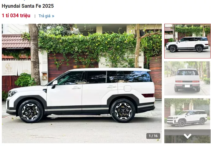 Hyundai Santa Fe 1