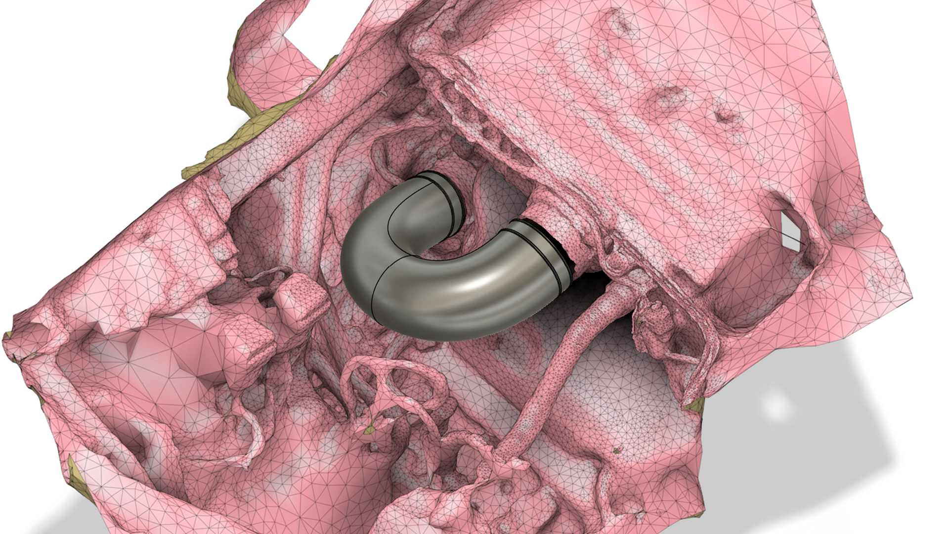 bwb-audi-intake Audi intake pipe, 3D print scan
