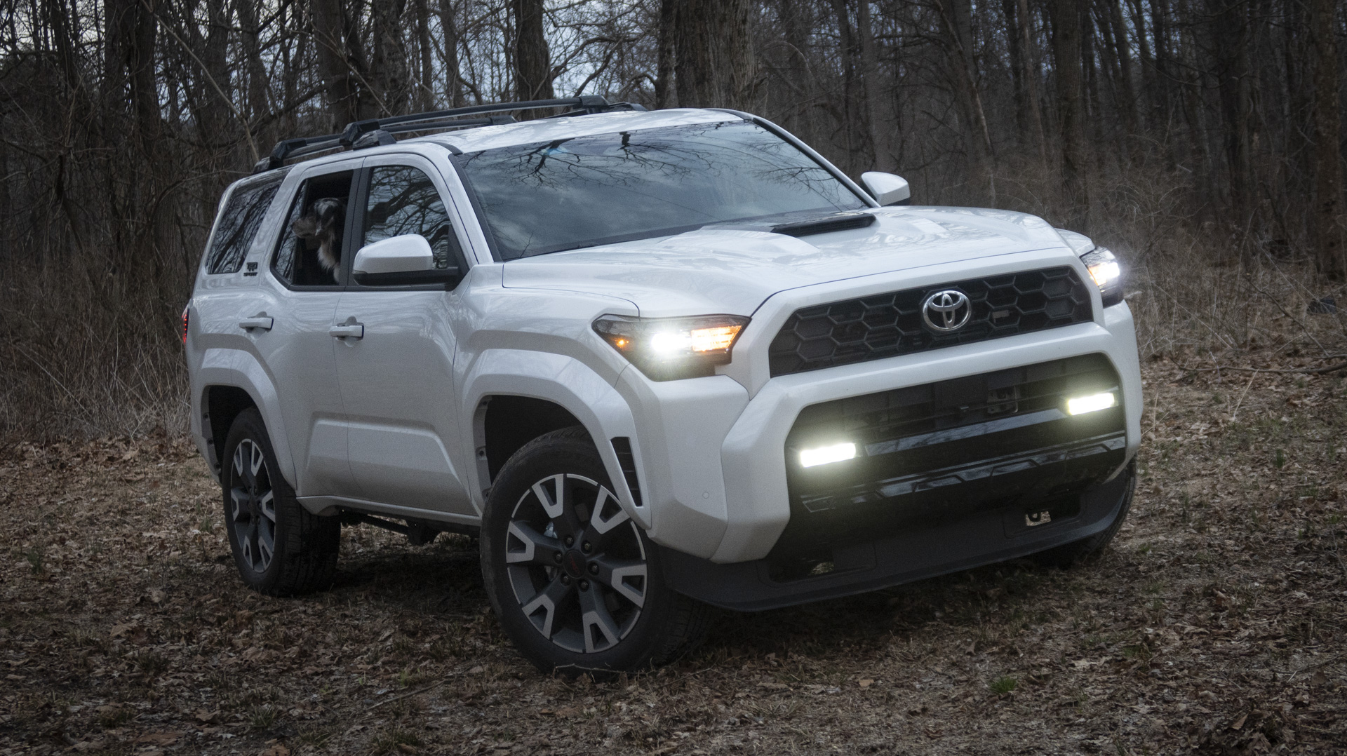 hero-toyota-4runner-6g-thedrive-img_8018-1 2025 Toyota 4Runner TRD Sport in white, front angle, with a dog in the window