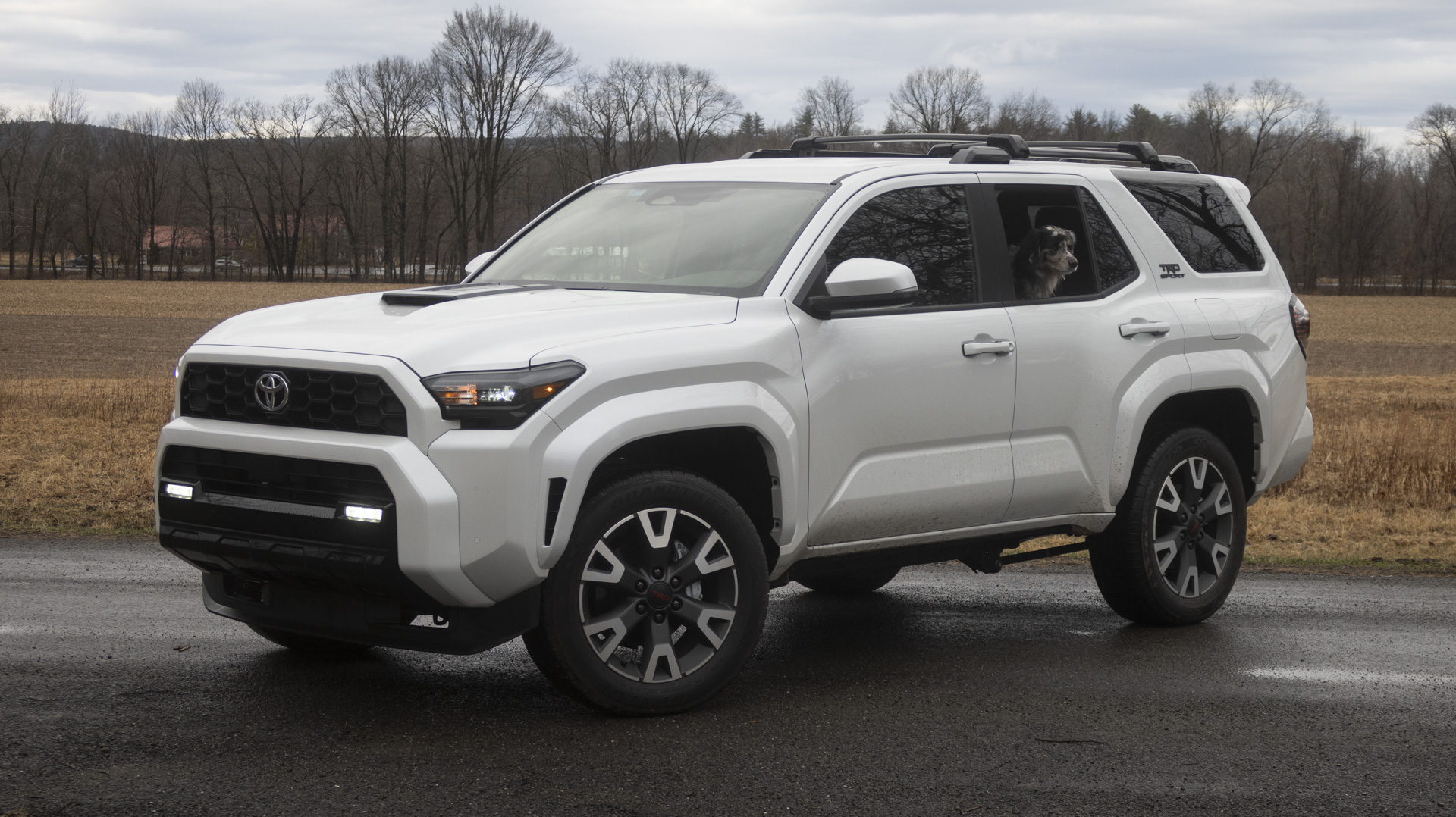 toyota-4runner-6g-thedrive-img_1271 2025 Toyota 4Runner TRD Sport, white, front three-quarter view