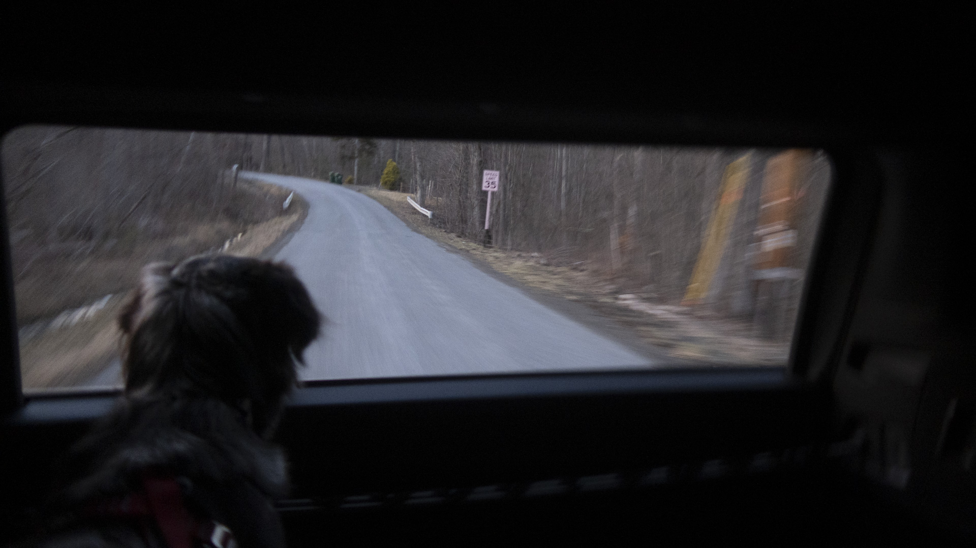 toyota-4runner-6g-thedrive-img_1309 Dog looking out the back window of a 2025 Toyota 4Runner TRD Sport, white.